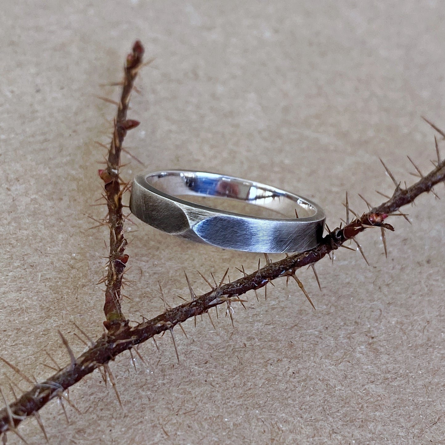 Ring of Devout Prayer is a Ring in Demon's Souls ( Sterling silver )